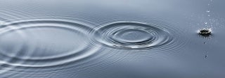 Droplet in a body of water with circular ripples adjacent